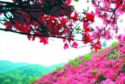 武汉周边一日游景点大全